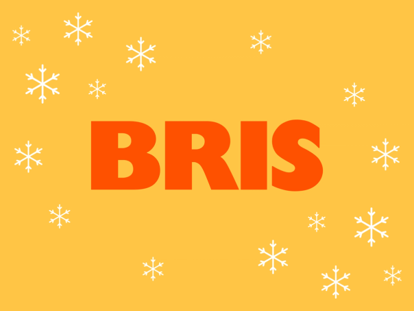 Bris logotyp
