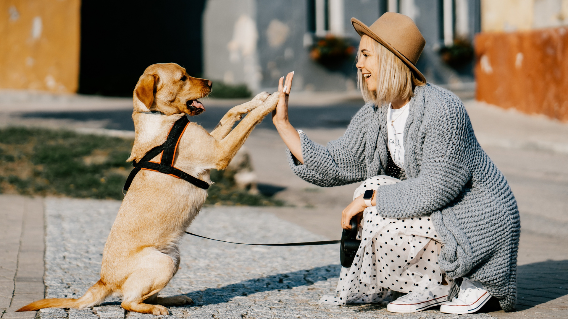 Kvinna i hatt som gör high five med en ljus hund i sele på en gata