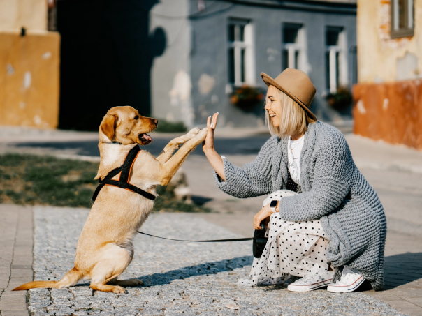 Kvinna i hatt som gör high five med en ljus hund i sele på en gata