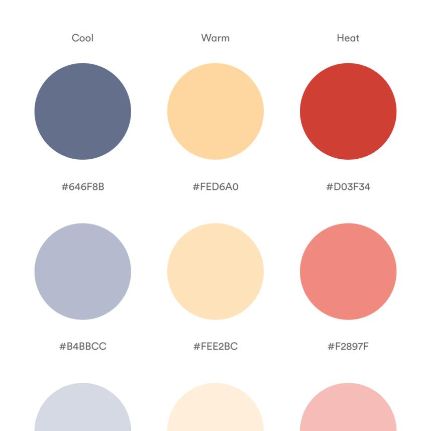 EBC-CASE-SNAPSHOT-colors_0.avif