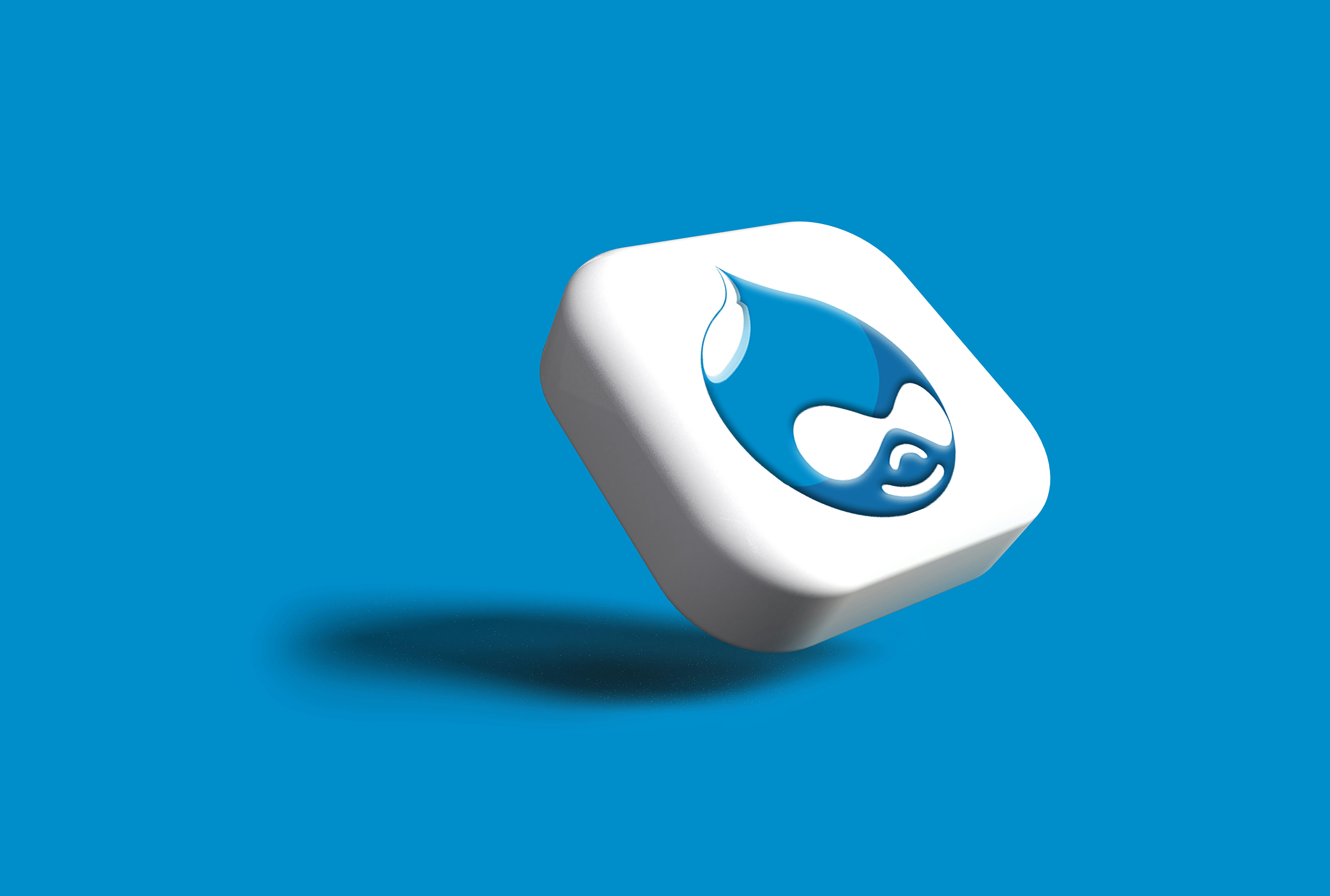 Image with a Drupal 3D logo